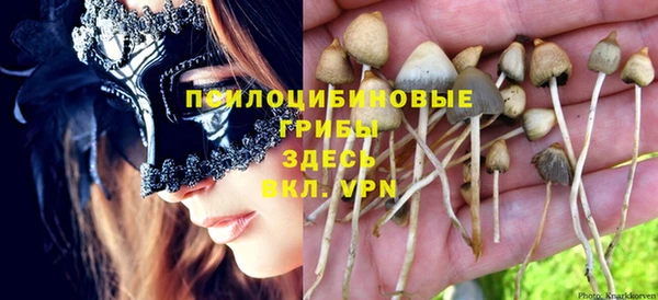 экстази Сосновка
